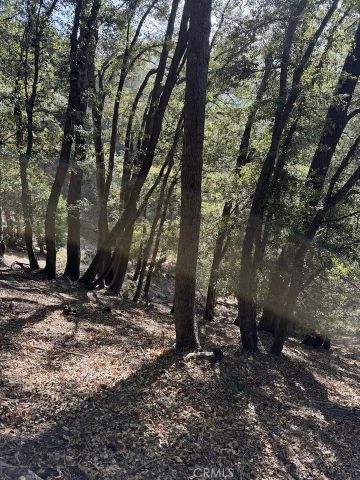 0 343-061-27-000, Cedarpines Park, CA 92322