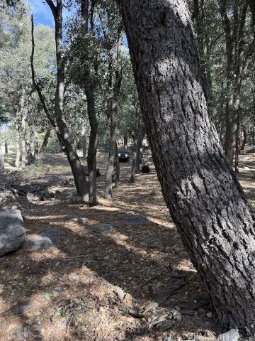 0 343-061-27-000, Cedarpines Park, CA 92322