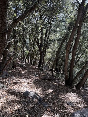 0 343-061-27-000, Cedarpines Park, CA 92322