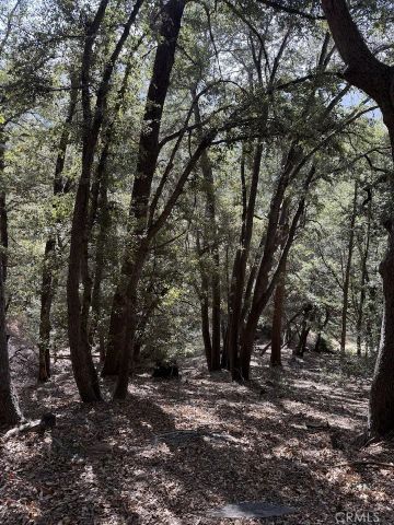 0 343-061-27-000, Cedarpines Park, CA 92322