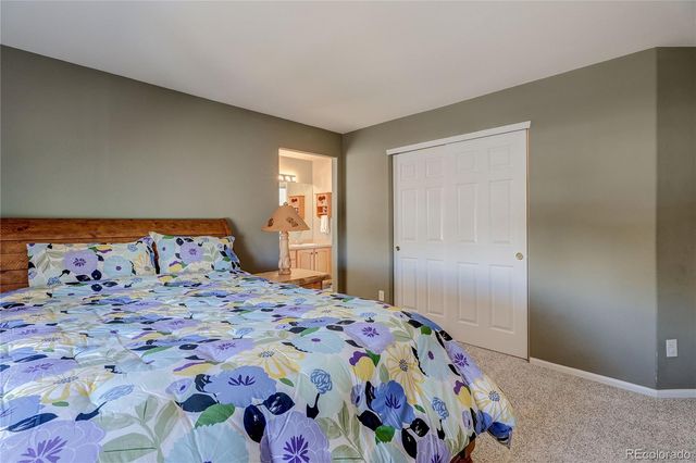 4242 Miners Candle Place, Castle Rock, CO 80109