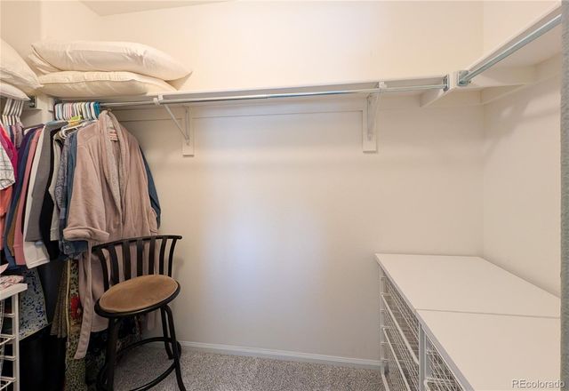 4242 Miners Candle Place, Castle Rock, CO 80109