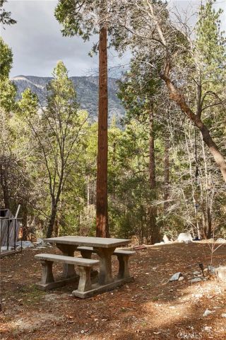 9249 Wood, Forest Falls, CA 92339
