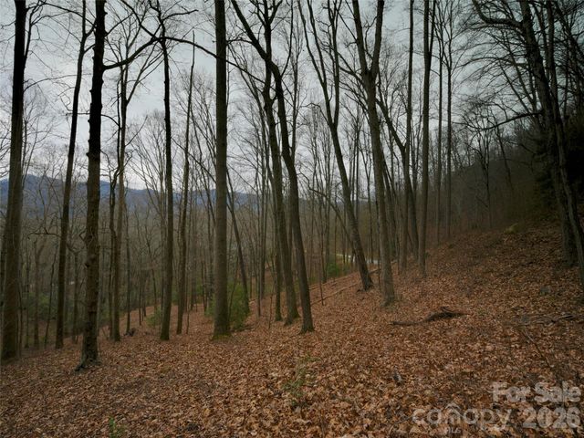 841 Blackthorne Lane, Arden, NC 28704