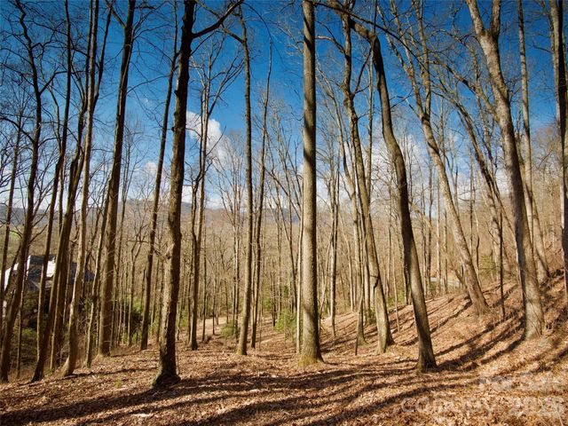 841 Blackthorne Lane, Arden, NC 28704