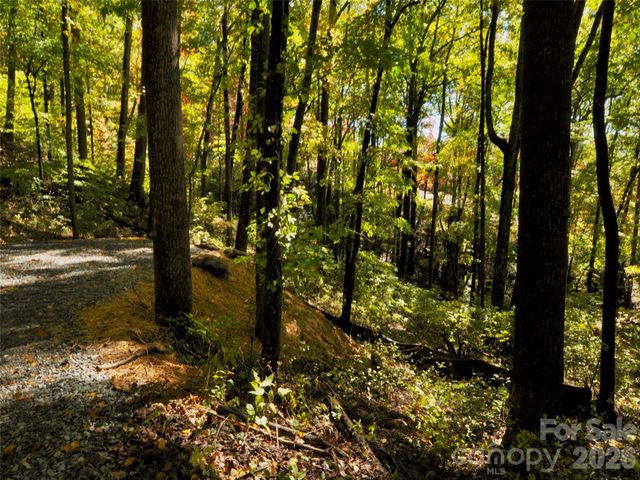 841 Blackthorne Lane, Arden, NC 28704