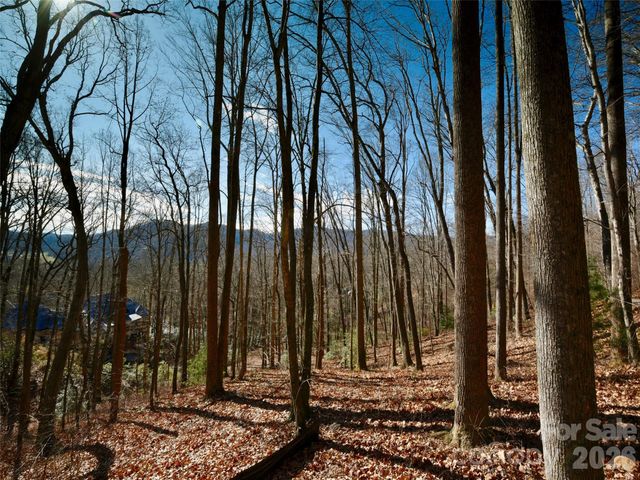 841 Blackthorne Lane, Arden, NC 28704