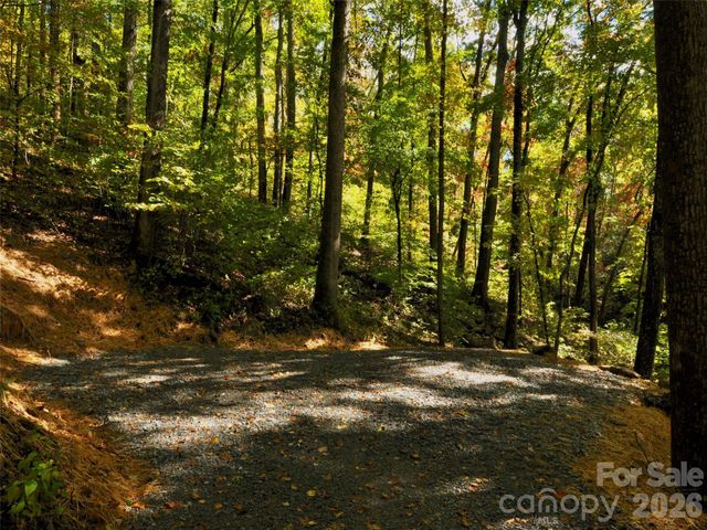 841 Blackthorne Lane, Arden, NC 28704