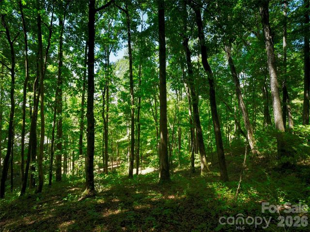 841 Blackthorne Lane, Arden, NC 28704