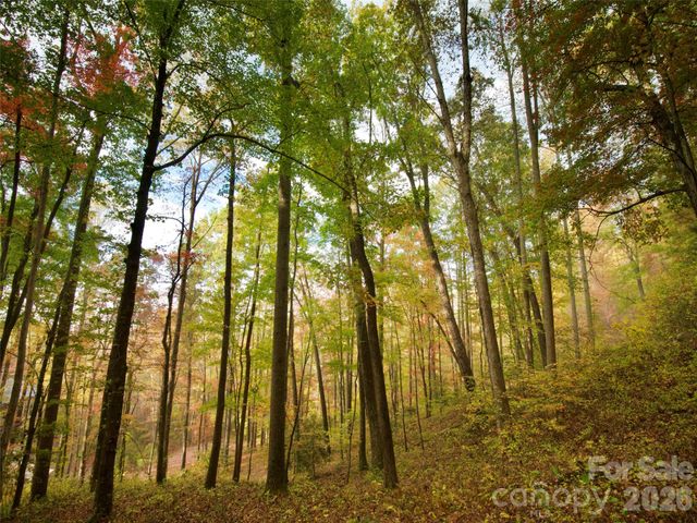 841 Blackthorne Lane, Arden, NC 28704