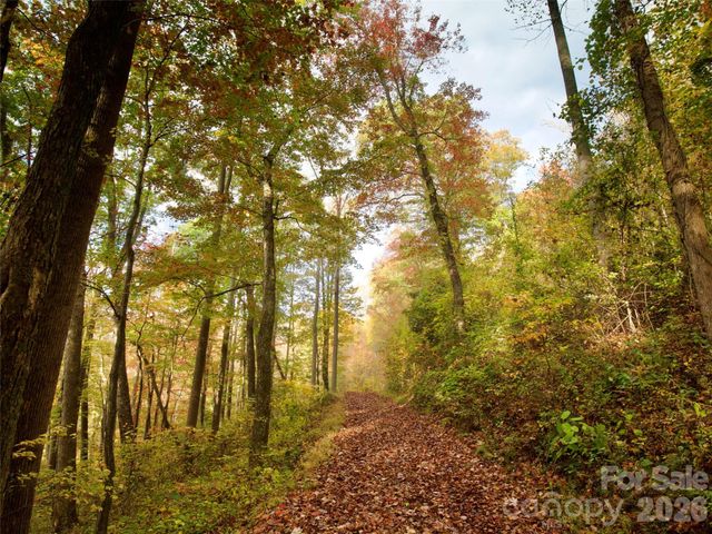 841 Blackthorne Lane, Arden, NC 28704