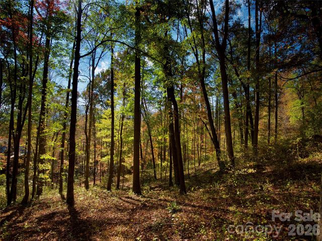 841 Blackthorne Lane, Arden, NC 28704