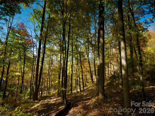 841 Blackthorne Lane, Arden, NC 28704