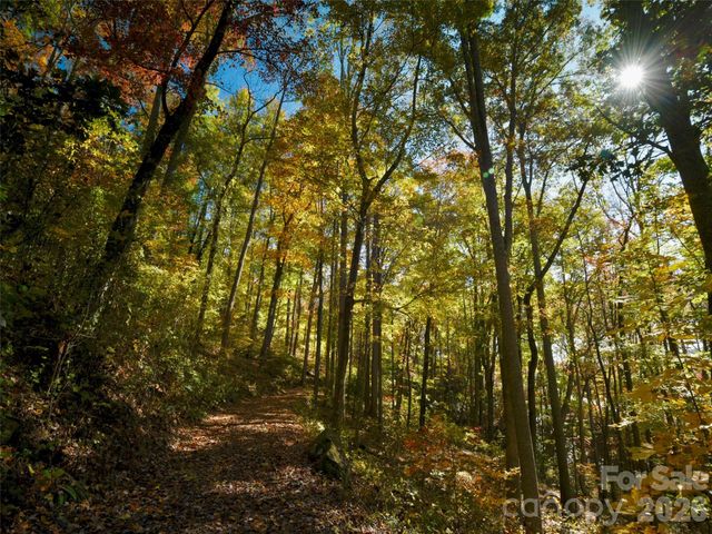 841 Blackthorne Lane, Arden, NC 28704