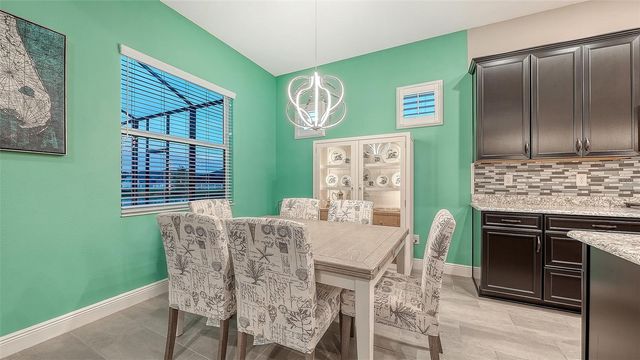 8234 TEA OLIVE TERRACE, Palmetto, FL 34221