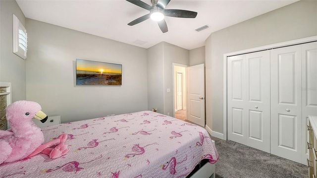 8234 TEA OLIVE TERRACE, Palmetto, FL 34221