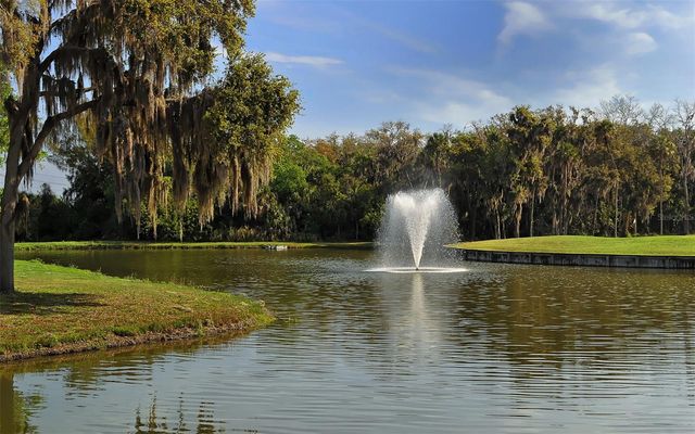 8234 TEA OLIVE TERRACE, Palmetto, FL 34221