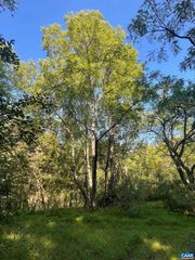 TBD STONY POINT PASS, Keswick, VA 22947