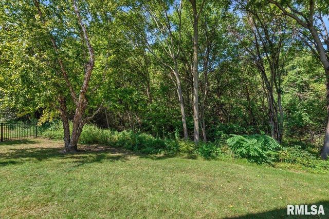 310 BOULDER CREEK Drive, Chatham, IL 62629