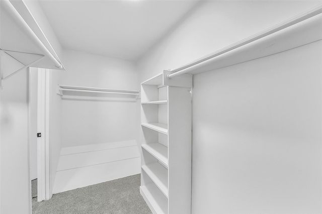 14703 Barryknoll Lane 11, Houston, TX 77079