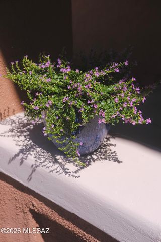 825 S 2nd Avenue, Tucson, AZ 85701