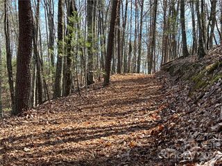 0 Taylorsville Road Tract 2, Taylorsville, NC 28681