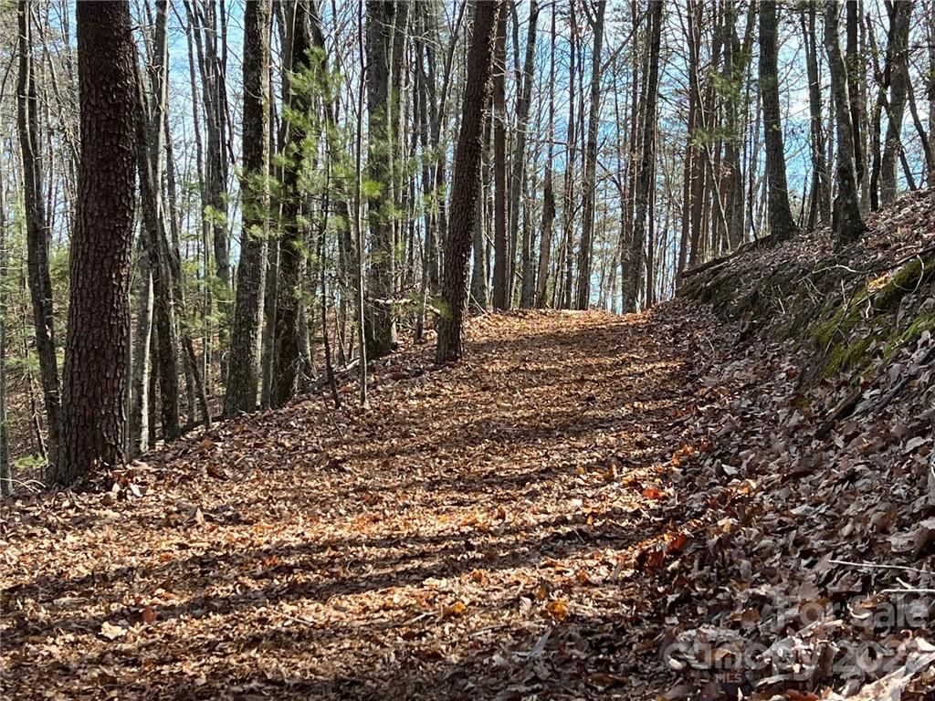 0 Taylorsville Road Tract 2, Taylorsville, NC 28681