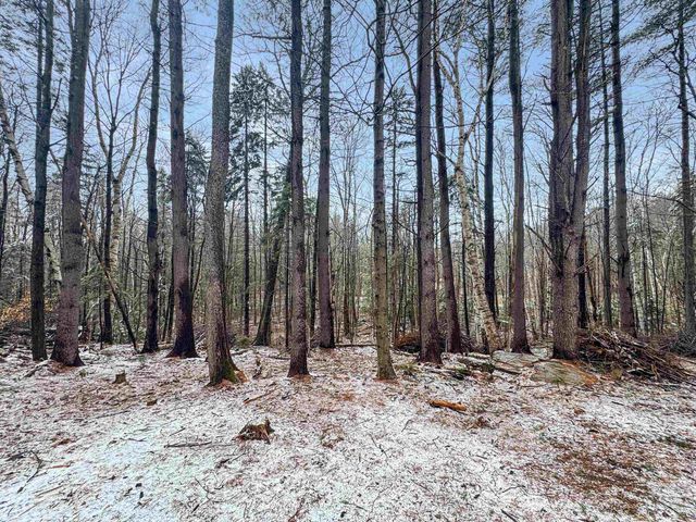1511 East Dover Road, Wardsboro, VT 05355
