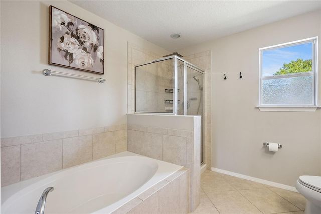 20811 SULLIVAN RANCH BOULEVARD, Mount Dora, FL 32757