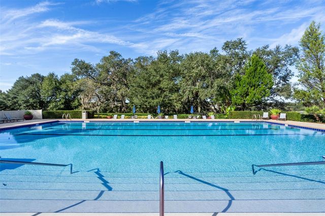 20811 SULLIVAN RANCH BOULEVARD, Mount Dora, FL 32757