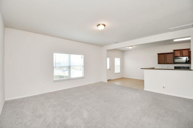 20822 Bastion Settle Drive, Hockley, TX 77447