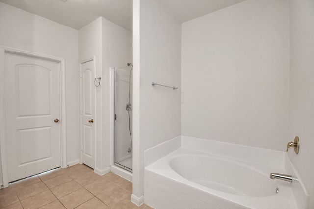 20822 Bastion Settle Drive, Hockley, TX 77447