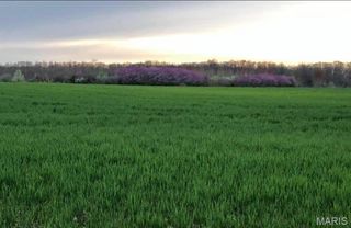 0 Kelley (20+/- Acres) Lane, Jonesburg, MO 63351