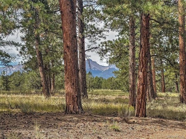 111 Sioux Trail, Westcliffe, CO 81252