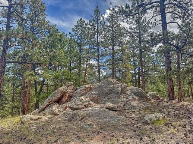 111 Sioux Trail, Westcliffe, CO 81252