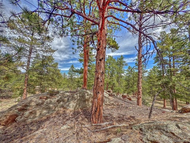 111 Sioux Trail, Westcliffe, CO 81252