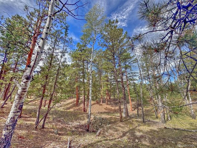 111 Sioux Trail, Westcliffe, CO 81252