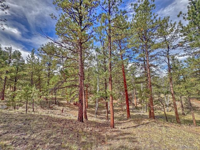 111 Sioux Trail, Westcliffe, CO 81252