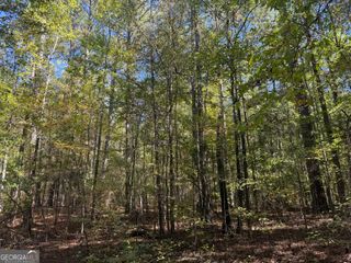 6.2 ACRES Wadley Street #1, Greenville, GA 30222