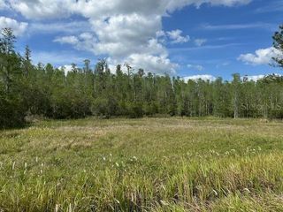 26545 C C LANE, Wesley Chapel, FL 33544