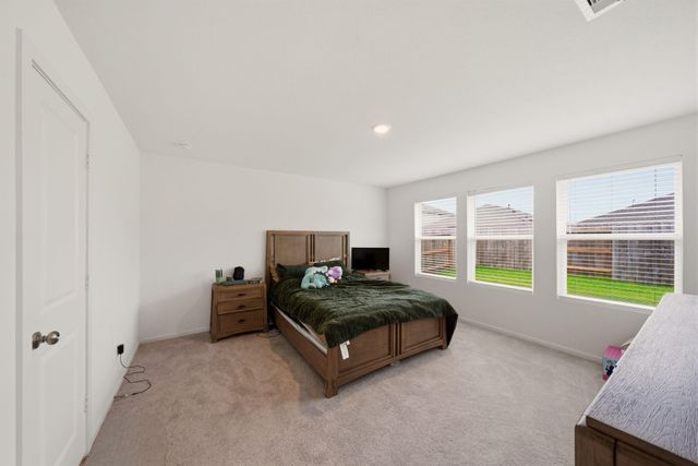29031 Rolling Tundra Way, Hockley, TX 77447