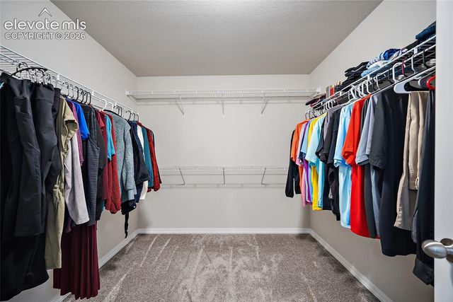 10815 Lavanya Place, Fountain, CO 80817