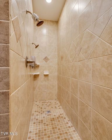 705 Union Chapel Road, Afton, TN 37616