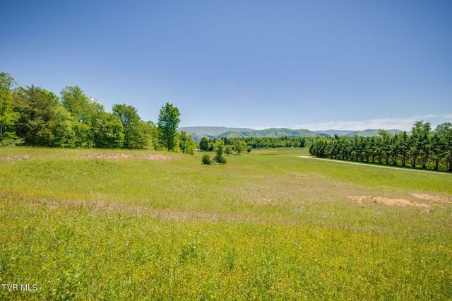 705 Union Chapel Road, Afton, TN 37616