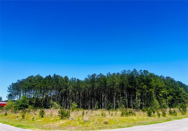 205 County Road 3568, Cleveland, TX 77327