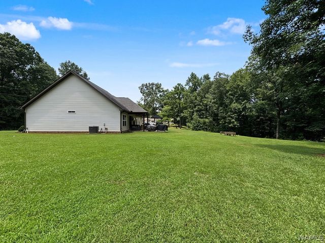 17023 Buffalo Ridge, Northport, AL 35475