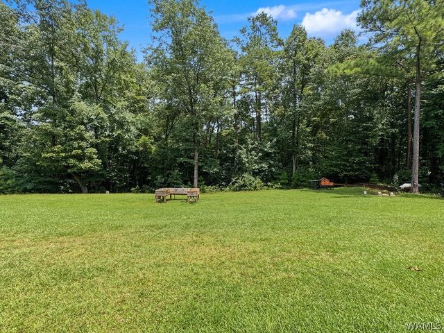 17023 Buffalo Ridge, Northport, AL 35475