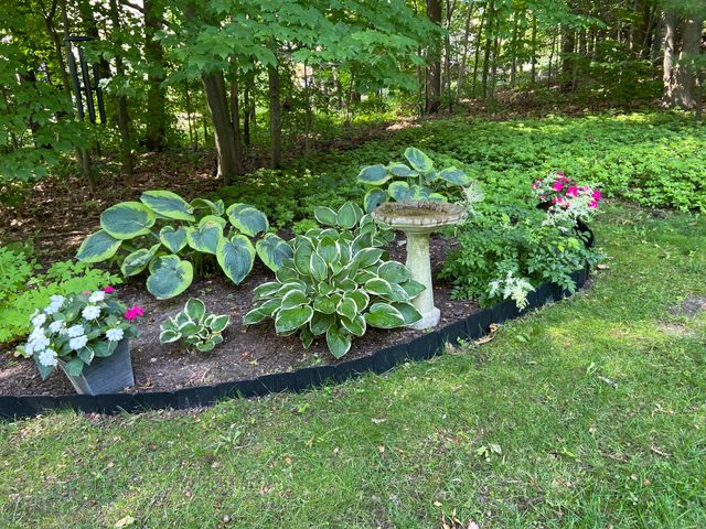 10434 Sourwood Court, Brighton, MI 48114