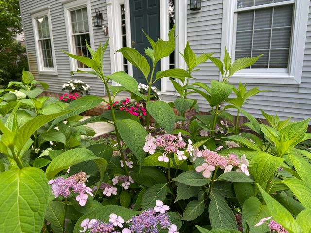 10434 Sourwood Court, Brighton, MI 48114