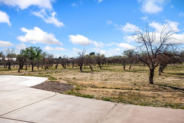 9 W Alary Lane, Corrales, NM 87048